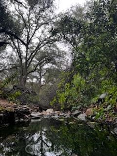 3631 Guadalupe Creek