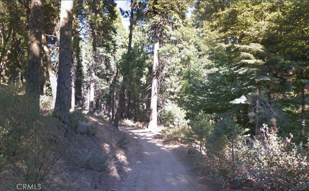 59 Mojave River Road
