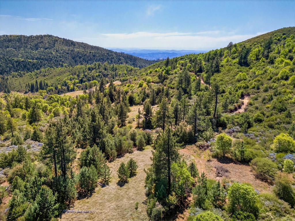 200 Palomar Divide Truck Trail