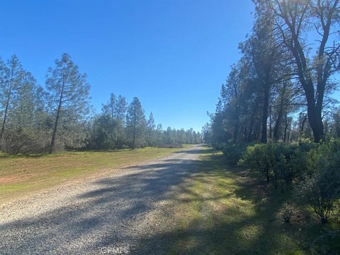 Photo of 0 Heavenly Valley Drive, Anderson, CA 96007 (MLS # PW26214012)