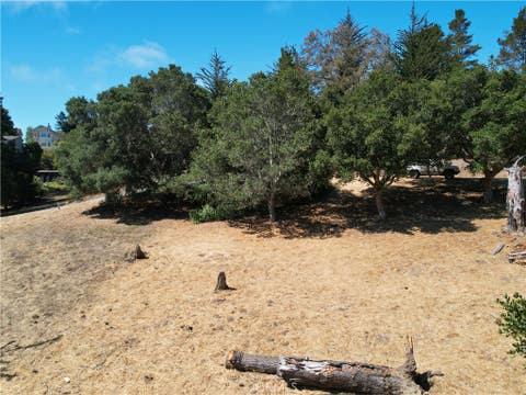Tiny photo for 0 Londonderry Lane, Cambria, CA 93428 (MLS # NS26164636)