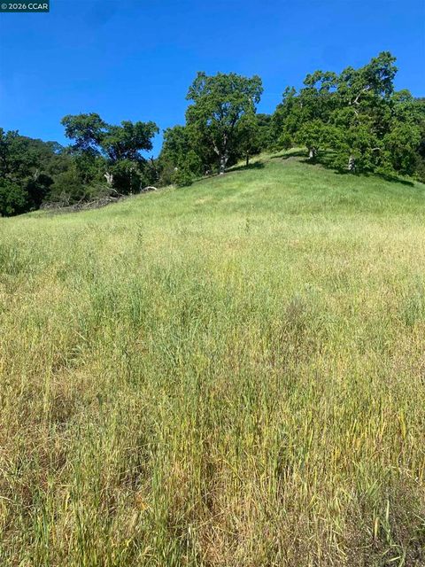 Photo of Toyon Road, Lafayette, CA 94549 (MLS # 41128647)