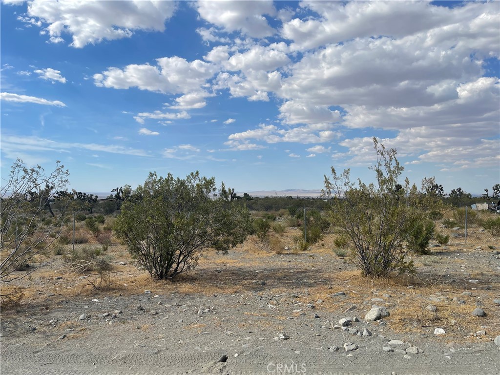 2163 Calaveras