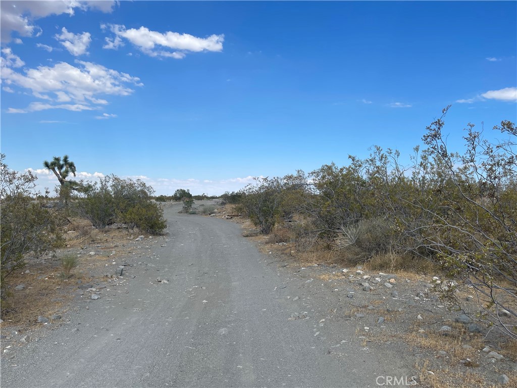 2163 Calaveras