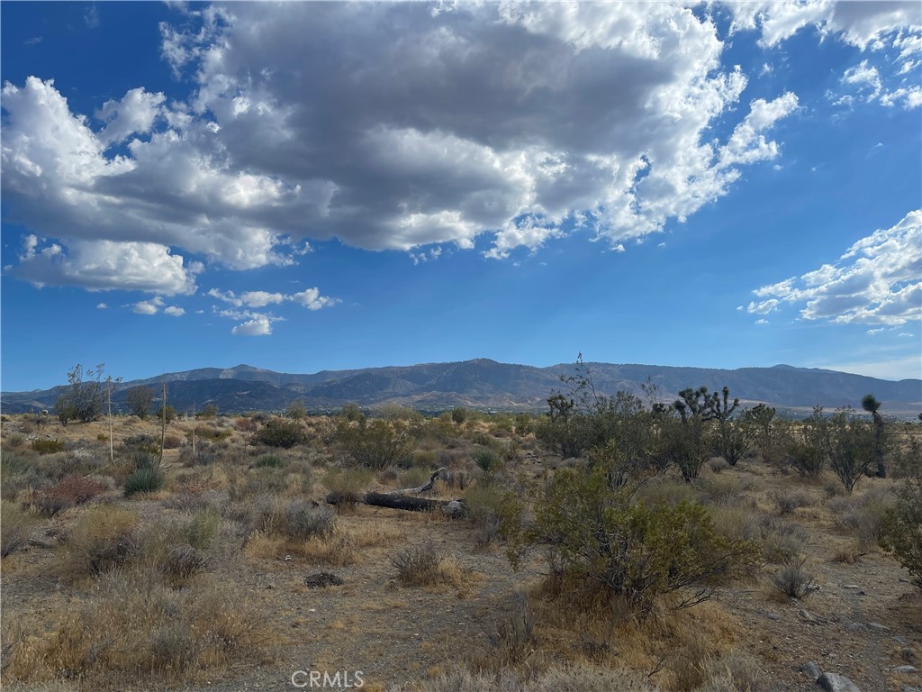 2163 Calaveras