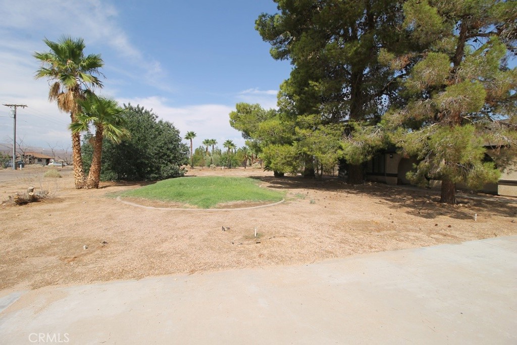 41492 Dogwood Street