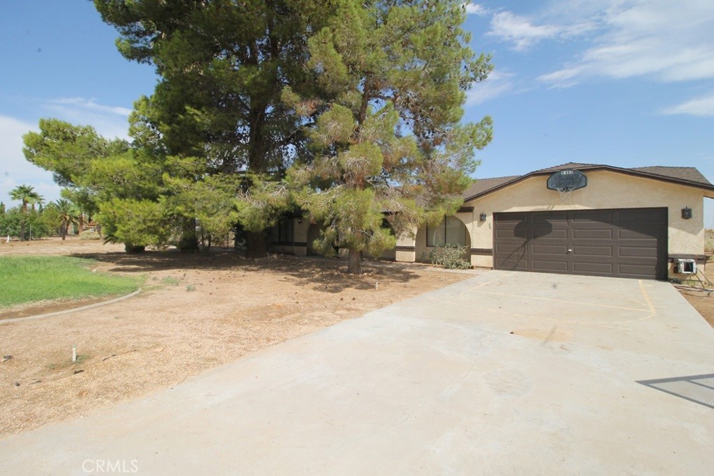 41492 Dogwood Street