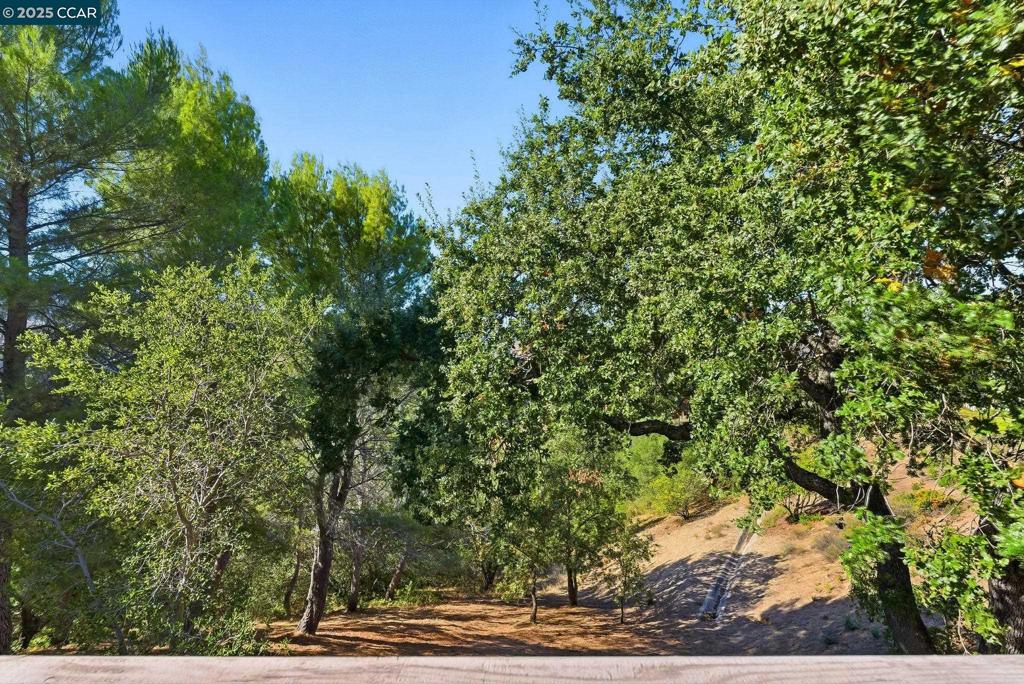 HASLEMERE - Residential Lease