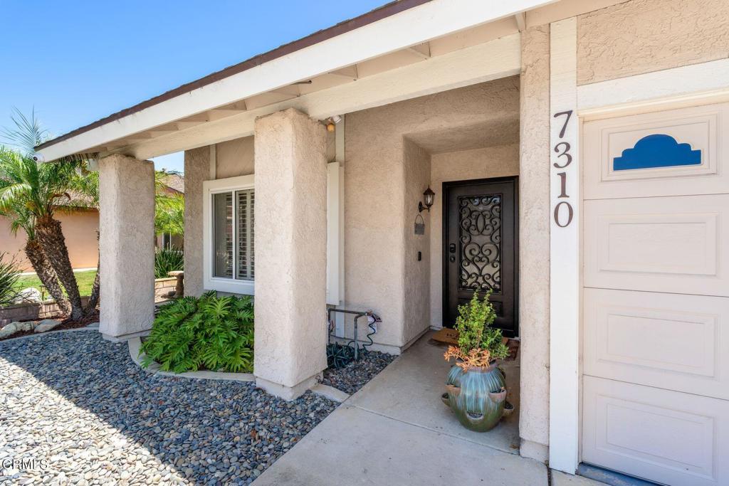 7310 Wolverine Street