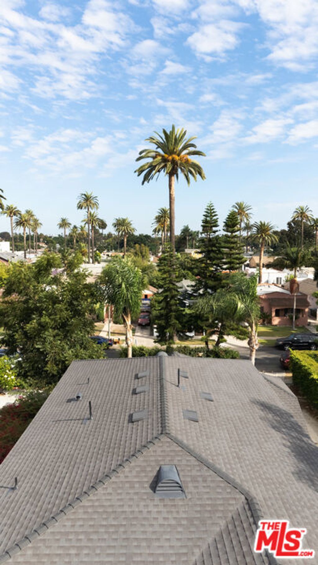Photo of 2741 S Rimpau Boulevard, Los Angeles, CA 90016 (MLS # 25598723)