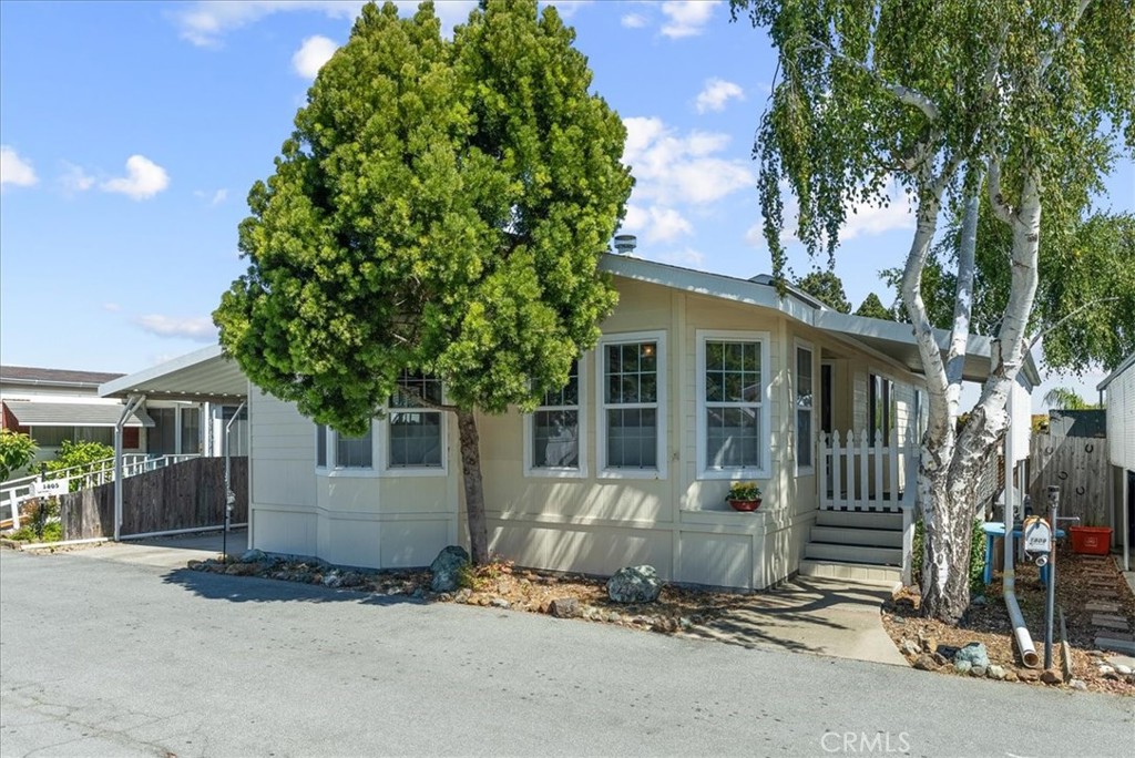 1809 Thelma Drive 50
