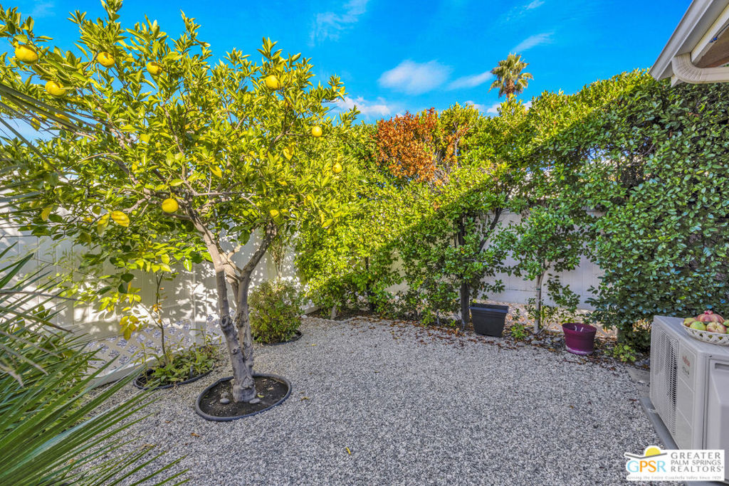 The Canyon - Manufactured In Park