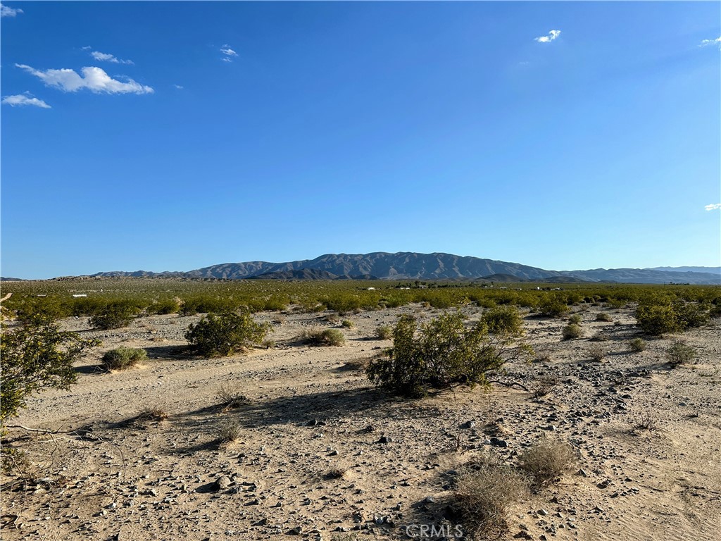 5 perfect acres to enjoy endless desert views and incredible stargazing. Bring your toys and camp after a day of exploring the area including the Old Dale Historic Mining District. No utilities. Dirt road access. 15 minutes from the 29 Palms Joshua Tree National Park entrance. Property does not have an assigned address - for listing purposes only. GPS: (34.1304910, -115.8969077) APN 0625-282-26-0000. The seller is also offering other parcels in the same area. Take a look today!