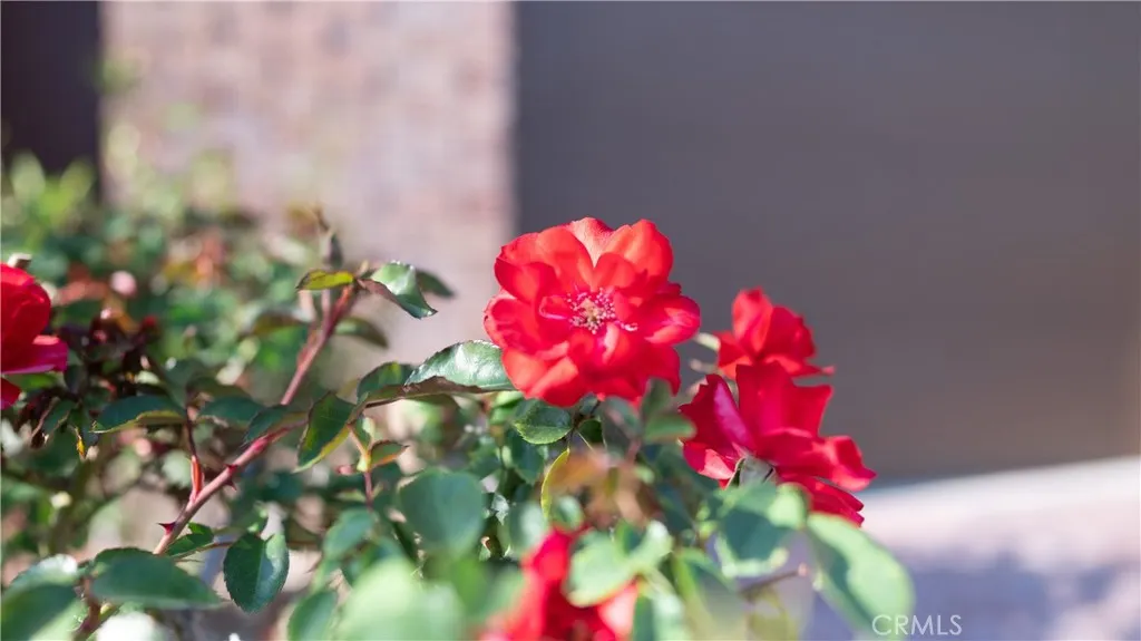 Fontana, California 92336, United States, 4 Bedrooms Bedrooms, ,4 BathroomsBathrooms,Residential,Active,157986