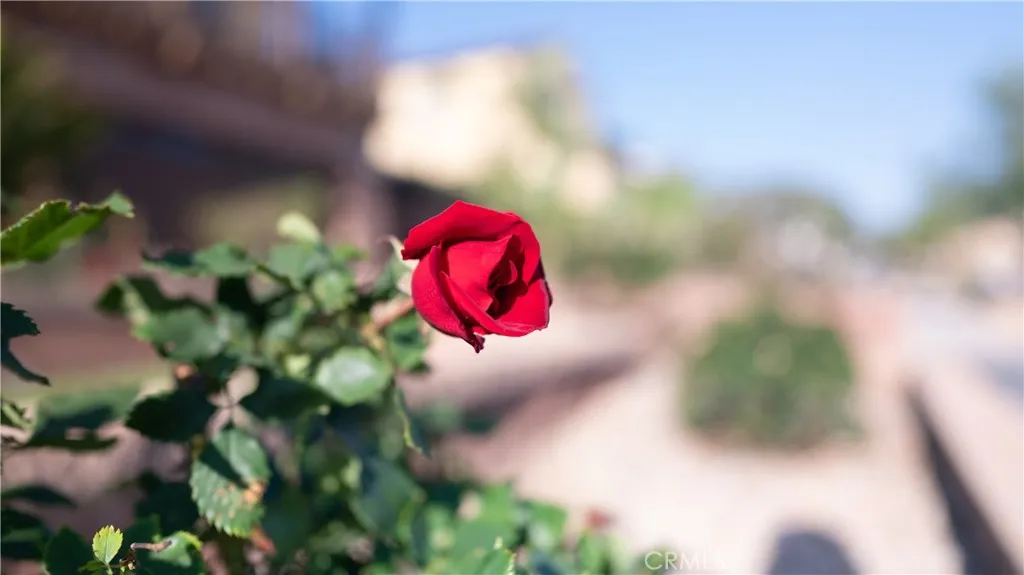 Fontana, California 92336, United States, 4 Bedrooms Bedrooms, ,4 BathroomsBathrooms,Residential,Active,157986