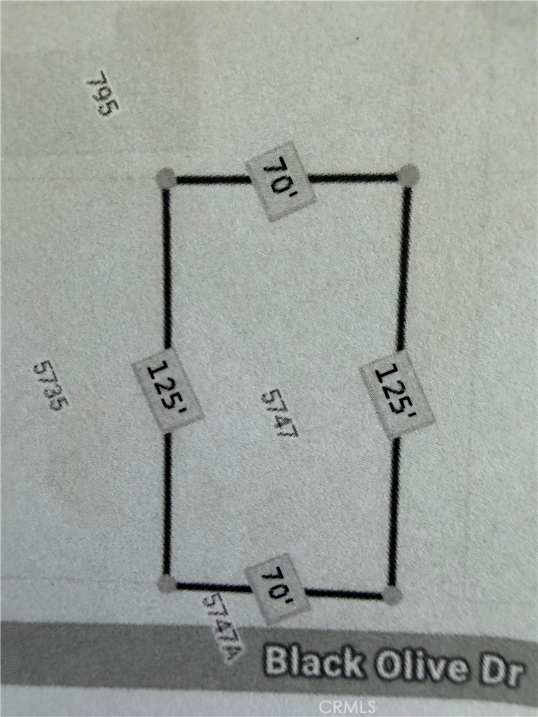 5747 Black Olive