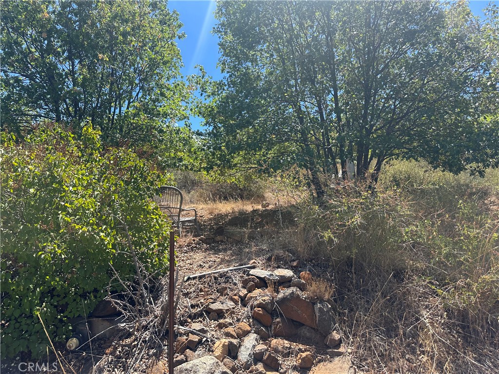 16994 Harrison Park Trail