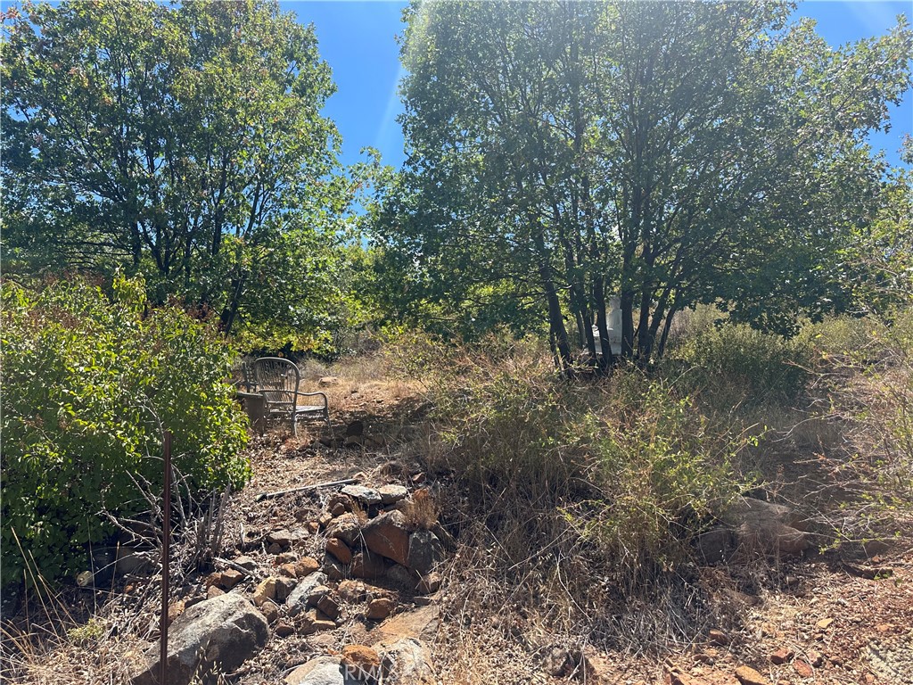 16994 Harrison Park Trail