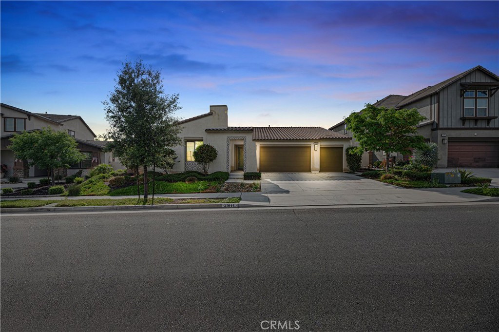 31044 Morgan Horse Street