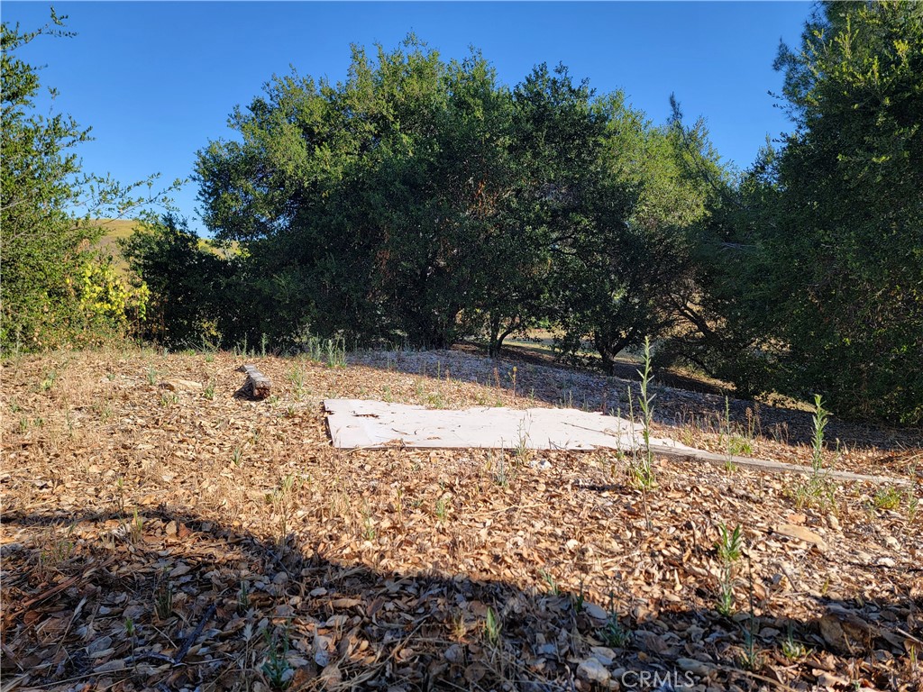 28343 Foothill Drive