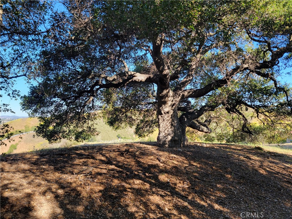 28343 Foothill Drive