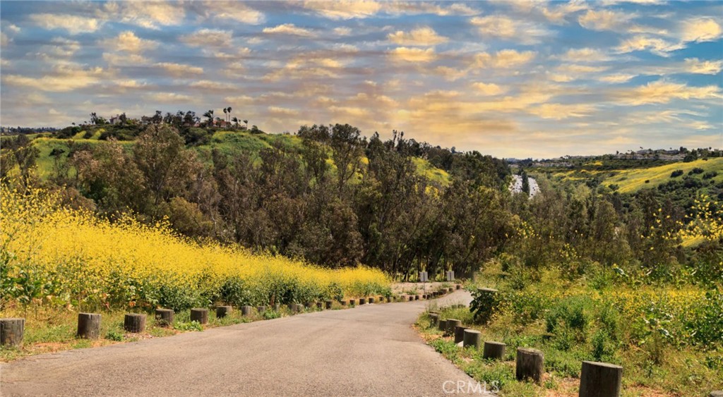 Hillsborough (HILL) - Residential