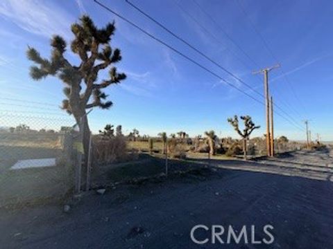 Photo of 0 Madera, Pinon Hills, CA 92372 (MLS # IV26007738)