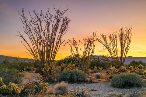 Tiny photo for 3568 Borrego Springs Road Rd, Borrego Springs, CA 92004 (MLS # 260005386SD)