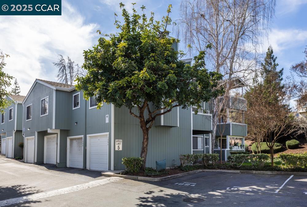 MAYWOOD VILLAGE - Residential