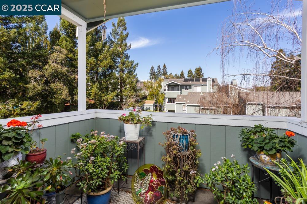 MAYWOOD VILLAGE - Residential