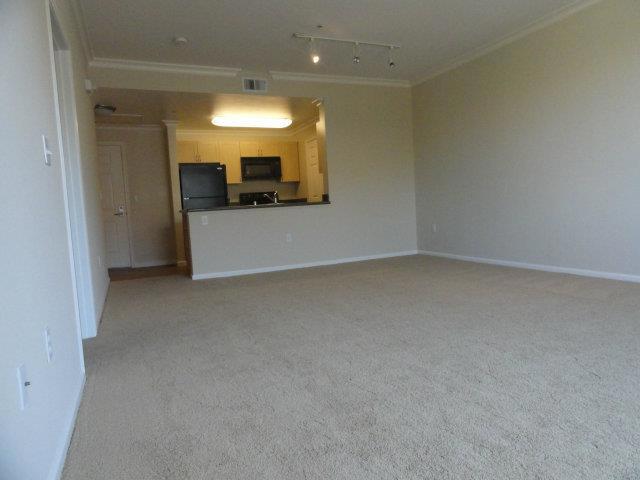 1550 Technology Drive 4059