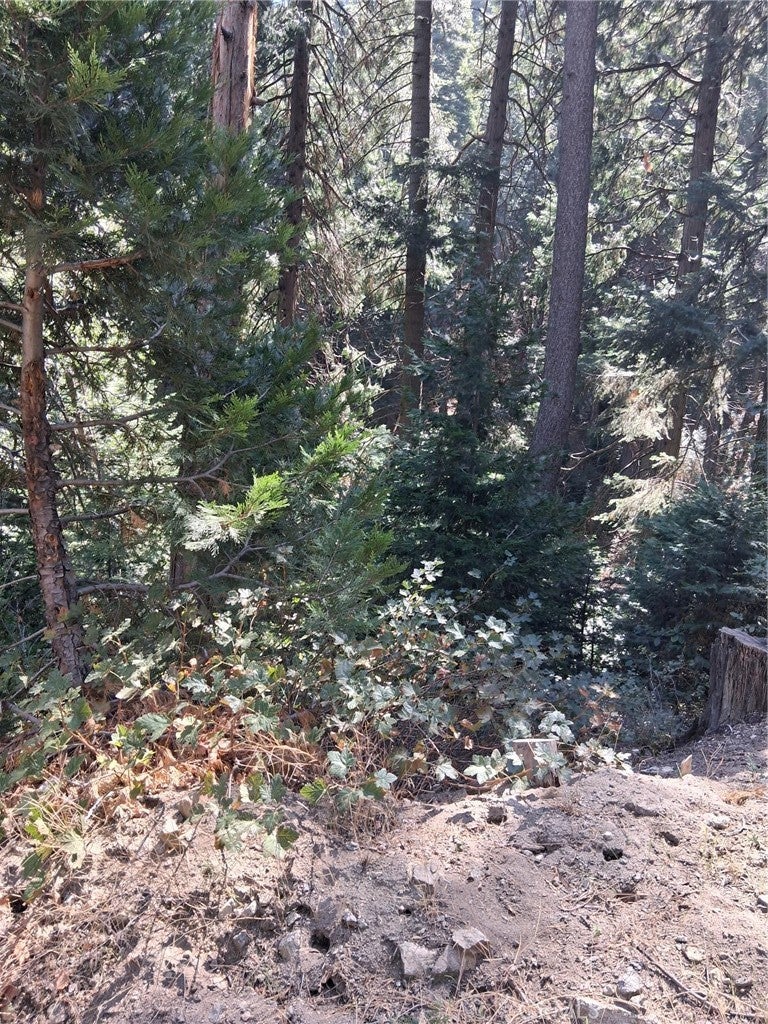 14 Burnt Mill Canyon Road