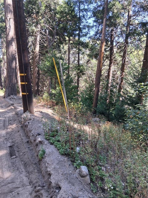 Photo of 14 Burnt Mill Canyon Road, Cedarpines Park, CA 92322 (MLS # IG26203683)
