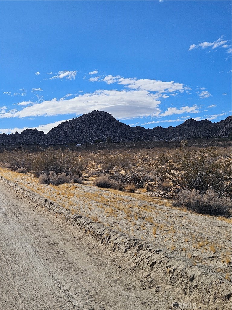 Here is a great opportunity to pick up a real nice parcel on the South side of Joshua Tree. This property is a short distance from the border of Joshua Tree National Park. Property looks to have power on the Northeast corner. (Buyer to verify) Don't miss out on this one, its priced to sell.