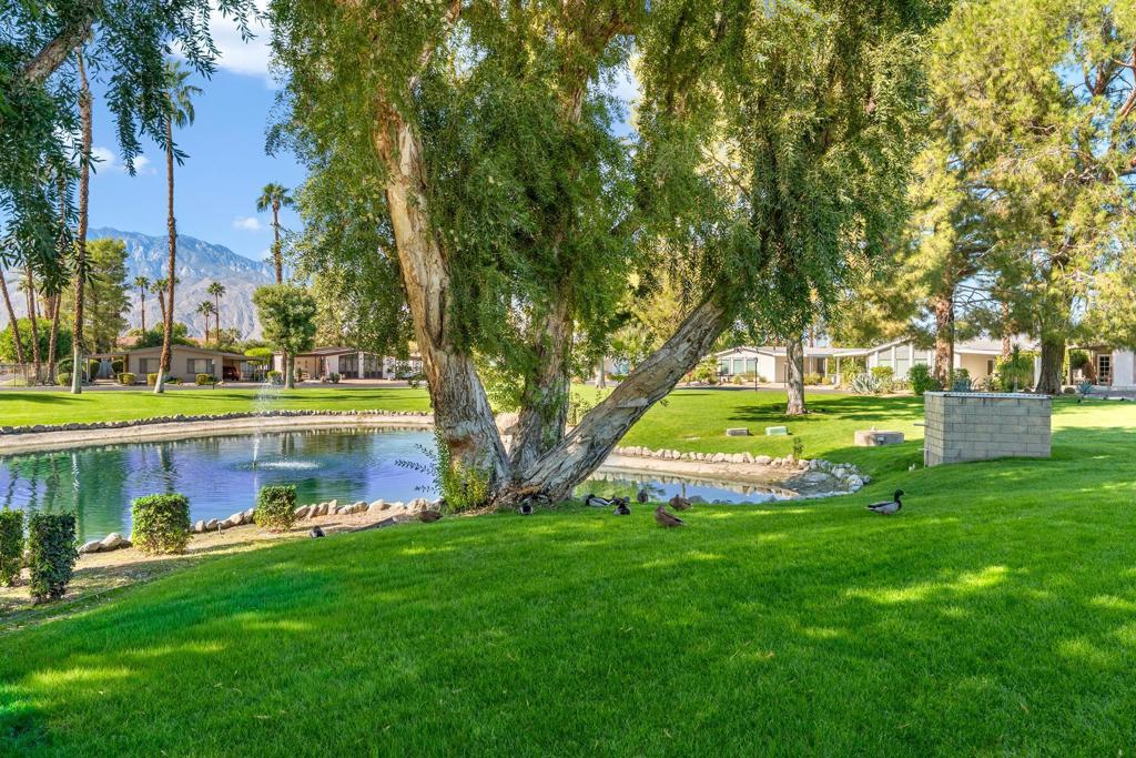 The Canyon - Manufactured In Park