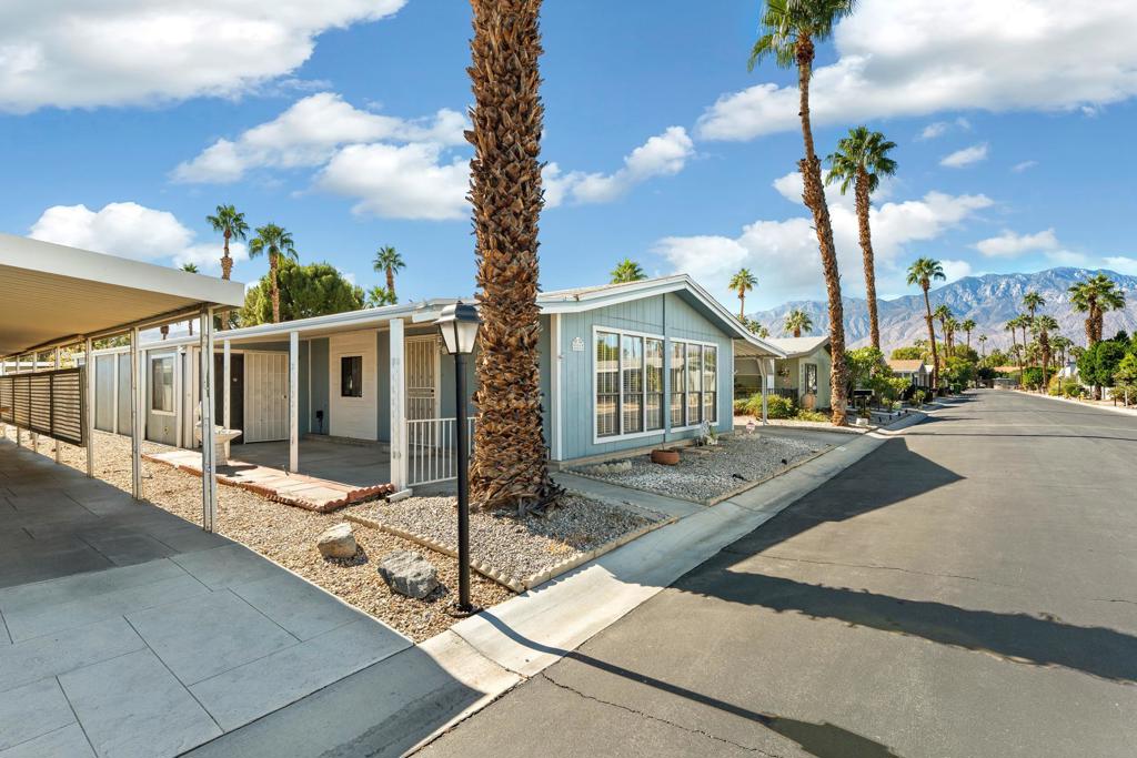 The Canyon - Manufactured In Park