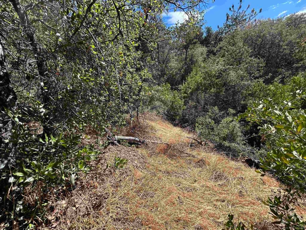 0 Whispering Pines Drive