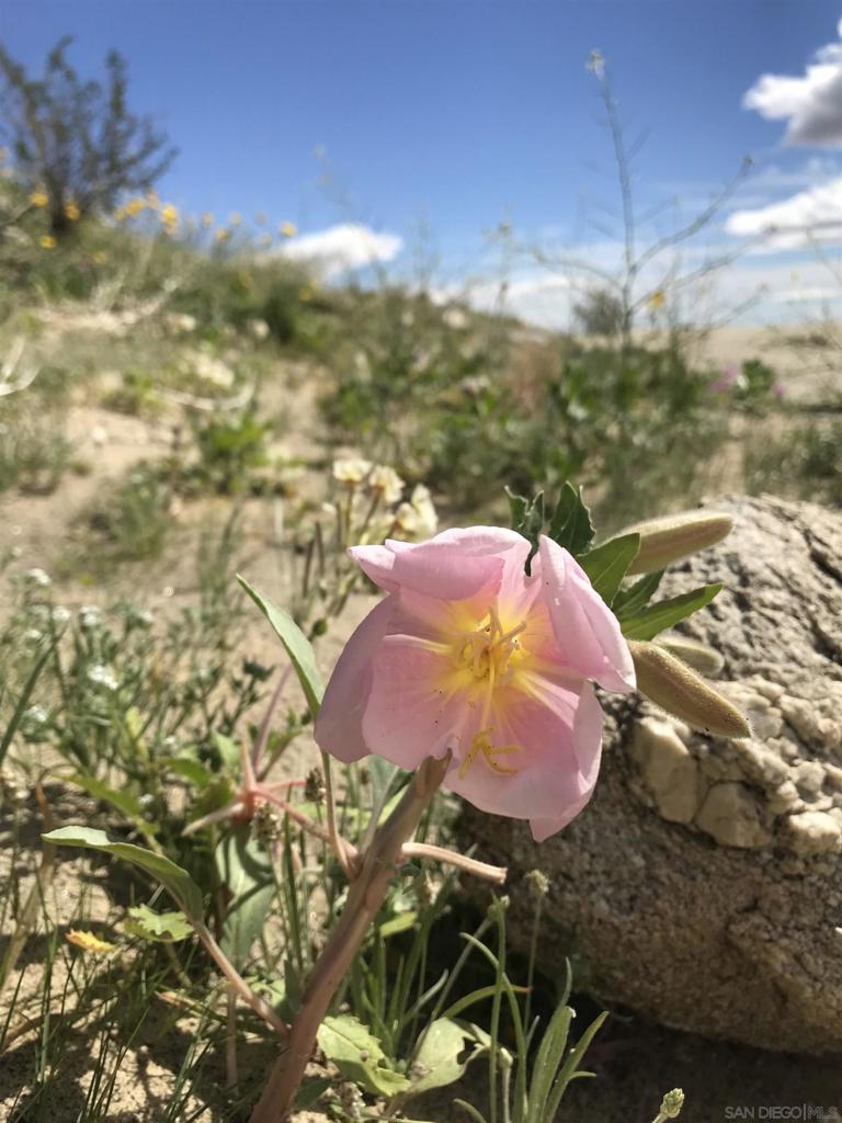 Borrego Springs - Land