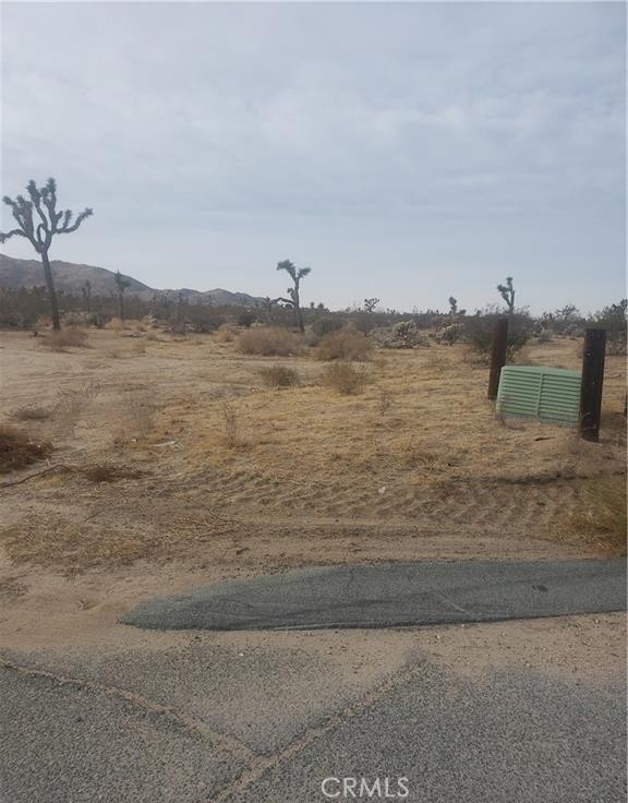 Two Great commercial lots on 29 Palms Hwy in Joshua Tree totaling 2.03 acres only 1 mile from the Village and across the street from the Rivian charging station. Many possibilities. You need to walk this property to appreciate.