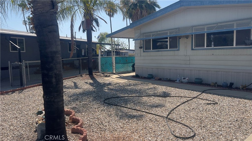 26039 Sago Palm