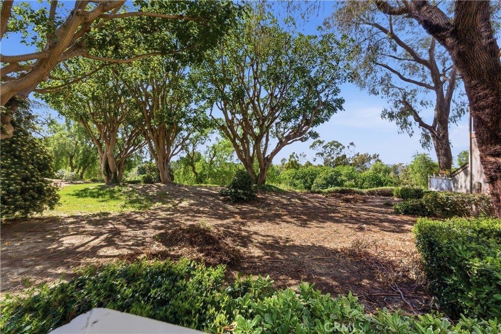 29121 Via Cerrito, Laguna Niguel CA 92677 - Photo 26