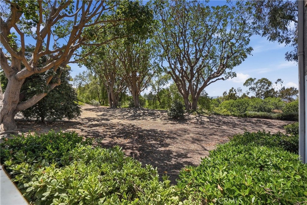 29121 Via Cerrito, Laguna Niguel CA 92677 - Photo 31