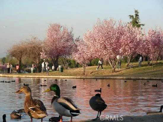 Van Nuys, California 91406, United States, 3 Bedrooms Bedrooms, ,2 BathroomsBathrooms,Residential,Active,236100