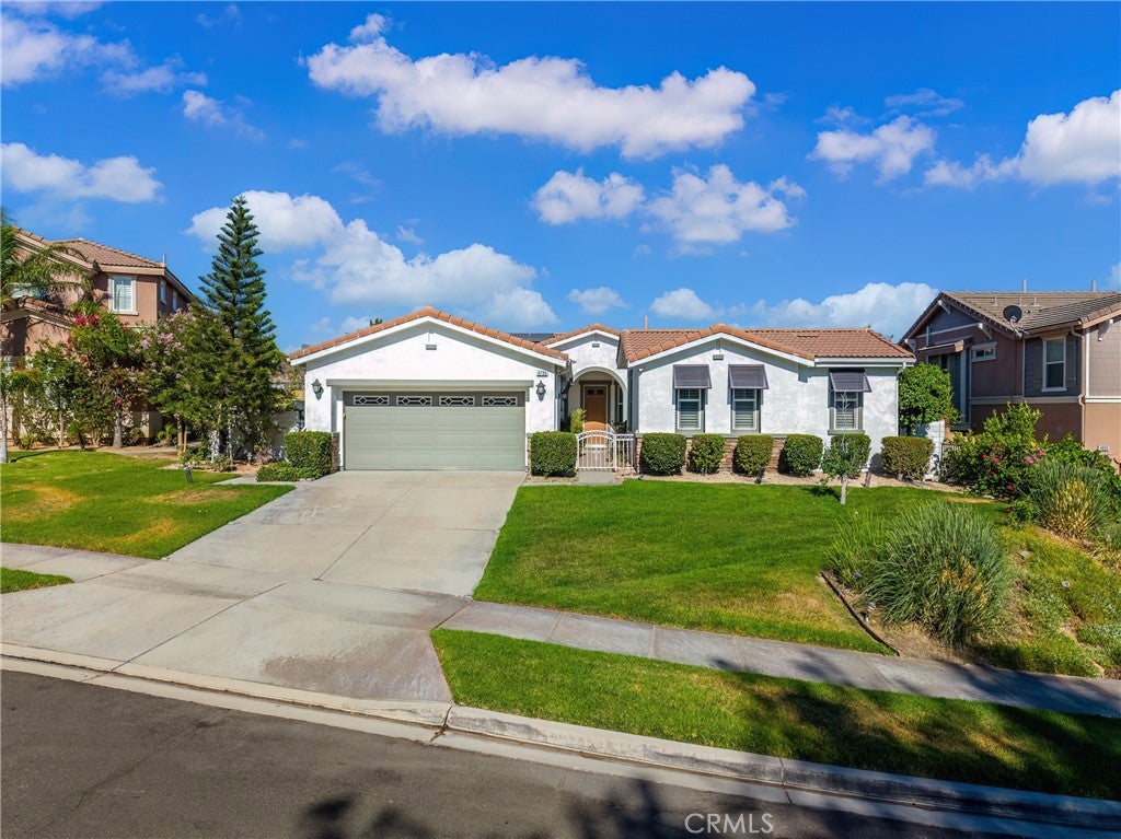 4795 Thornbush