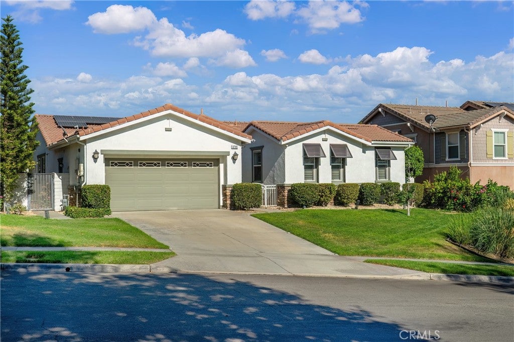 4795 Thornbush