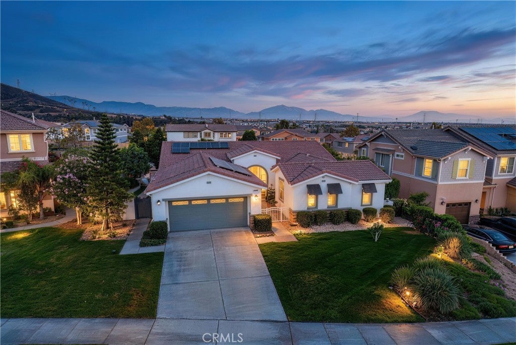 4795 Thornbush