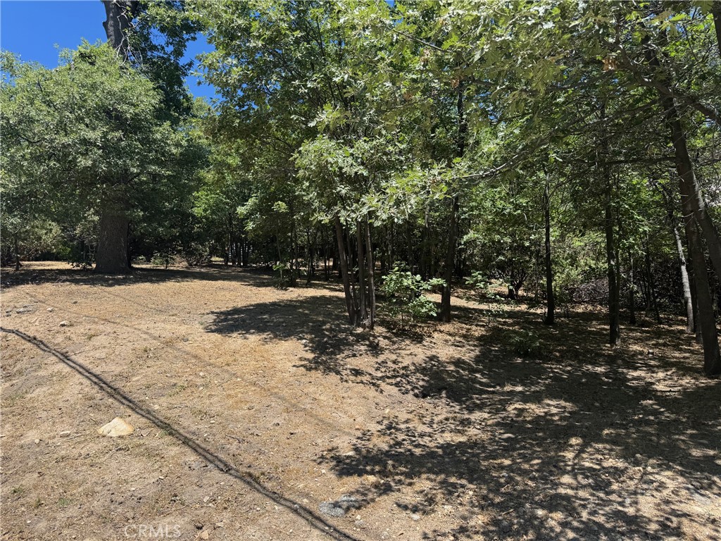 If you are dreaming of a near-level lot in a highly desirable neighborhood in Lake Arrowhead with lake privileges to build your dream home, this is it! This beautiful lot has never been on the market! Walking distance to Tavern Bay Beach Club but also away from the hustle when you want privacy and serenity, located on a maintained road and approximately 1/3 acre, what more could you want.