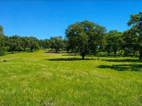 Photo of 0 Crestmont, Palermo, CA 95968 (MLS # OR26177987)