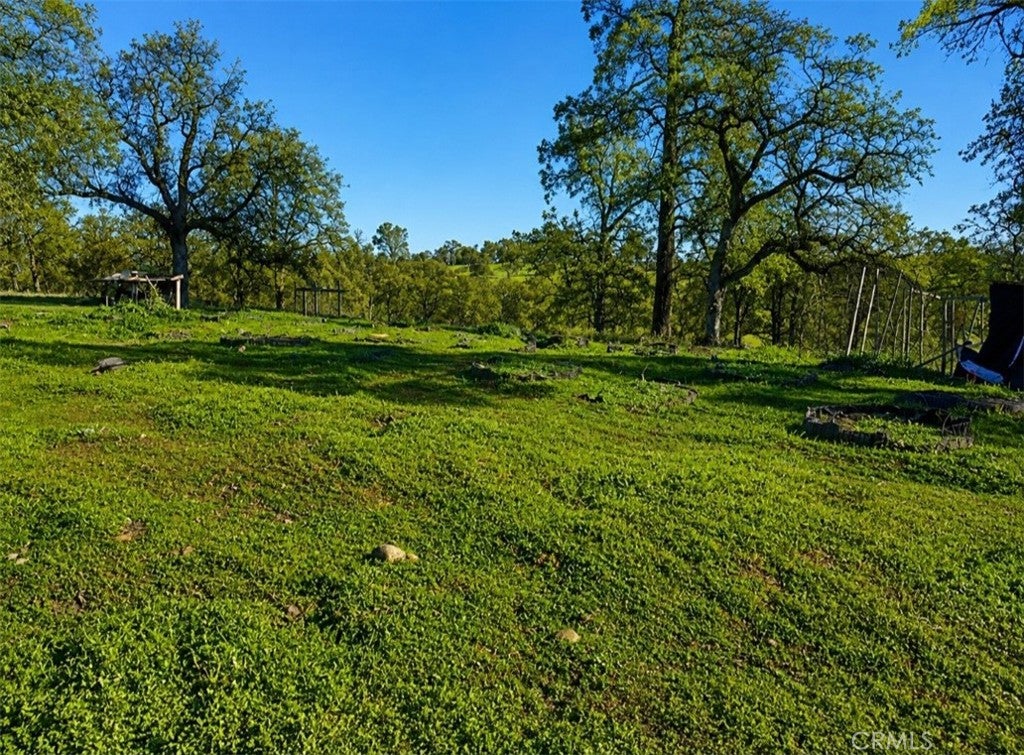 0 Crestmont