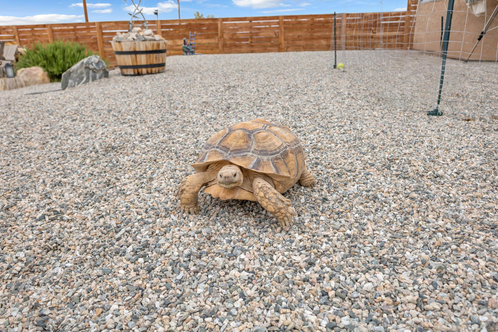 Not Applicable-1 - Residential